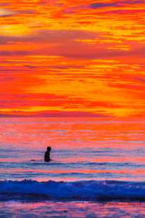 Sunset Surfer-9383.jpg Sunset Surfer-9383.jpg